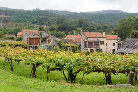 Subvencions per a projectes innovadors de transformació territorial i la lluita contra la despoblació